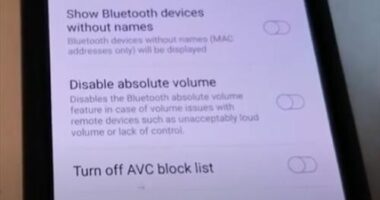 Steps to Disable Bluetooth Absolute Volume on Android