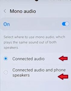 How to Enable or Disable Mono Audio Galaxy S22
